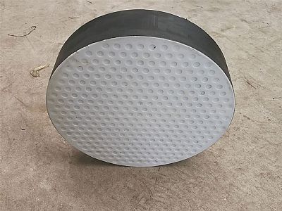 瑞金市四氟板式橡胶支座易于更换缓冲隔震